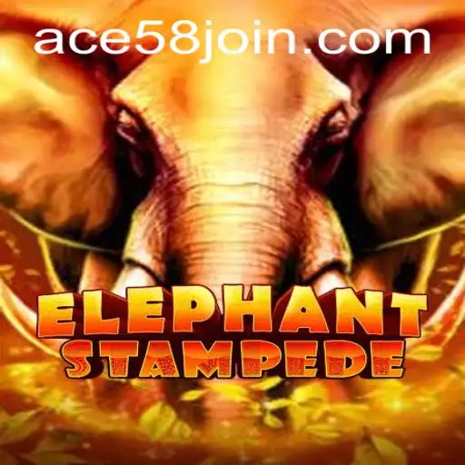 Discover the Adventure of ElephantStampede