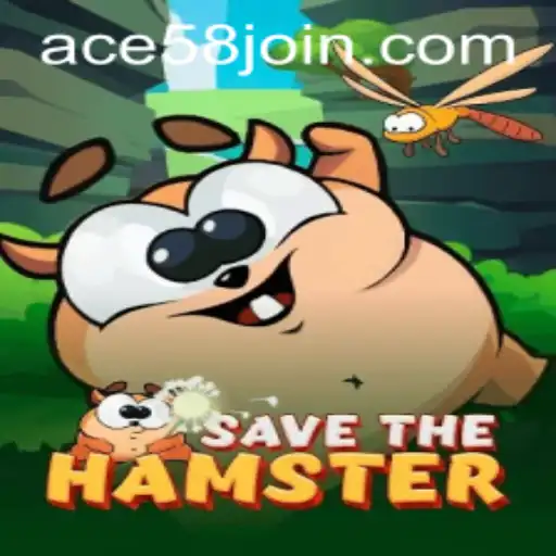 Exploring the World of SavetheHamster: A Thrilling Digital Adventure